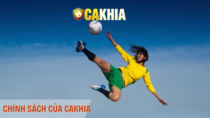Những quy định chính về bản quyền của Cakhia TV